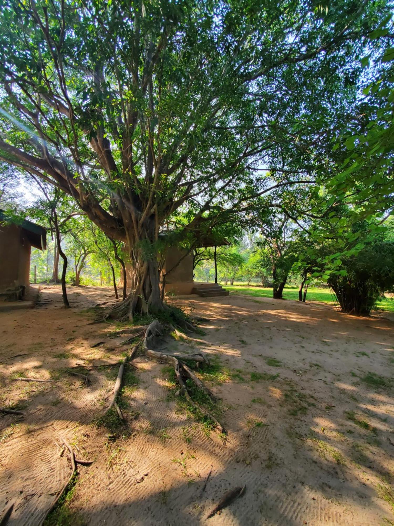 Clay Hut Village Полоннарува Экстерьер фото